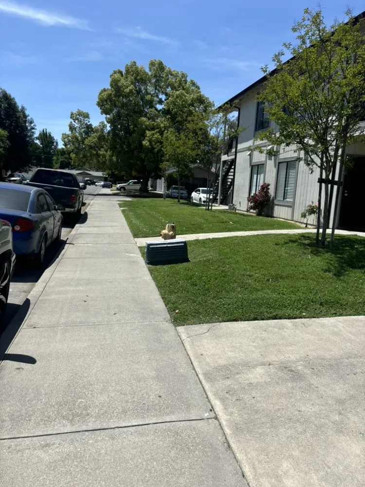 Affordable lawn mowing service in Stockton, CA - Martinez Brothers