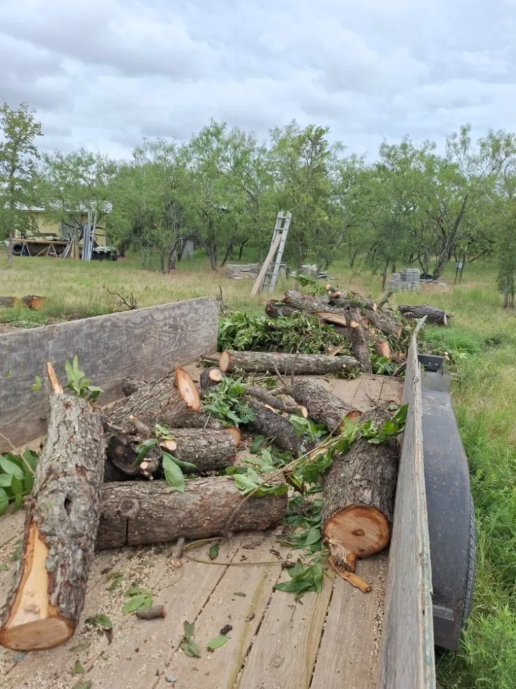 Local landscape design in Austin, TX by Martinez Construction Service