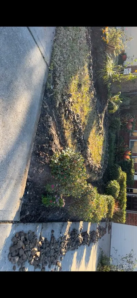 Local landscape design experts serving Magnolia, TX - Martinez Full Lawn Service