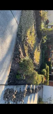 Martinez Full Lawn Service Logo