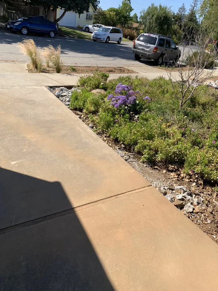 Trusted lawn care service in San Bruno, CA - Martinez Garden