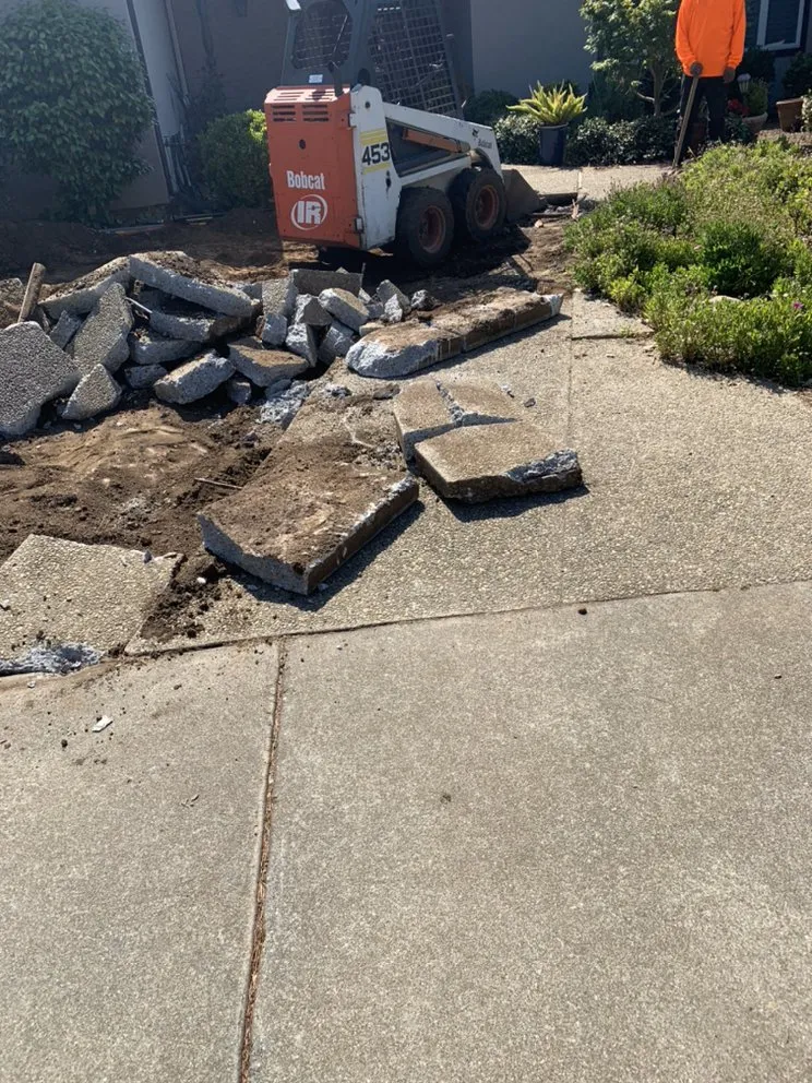 Professional landscaping services for year-round maintenance in San Bruno, CA by Martinez Garden