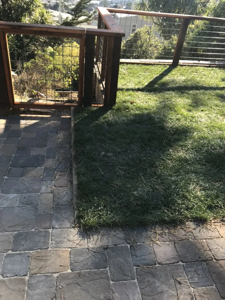 Trusted yard cleanup service for beautiful yards across San Bruno, CA - Martinez Garden