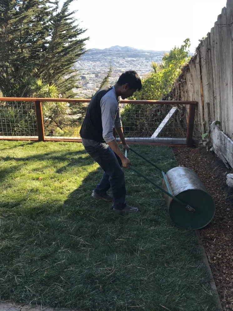 Affordable lawn mowing service in San Bruno, CA - Martinez Garden