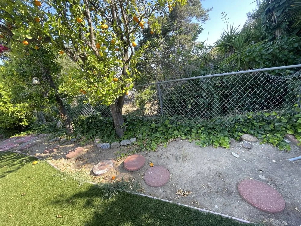 Professional landscaping services for year-round maintenance in San Diego, CA by Martinez Gardening