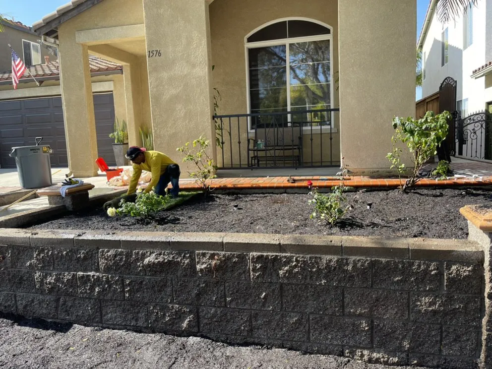 Trusted lawn mowing service in San Diego, CA - Martinez Gardening