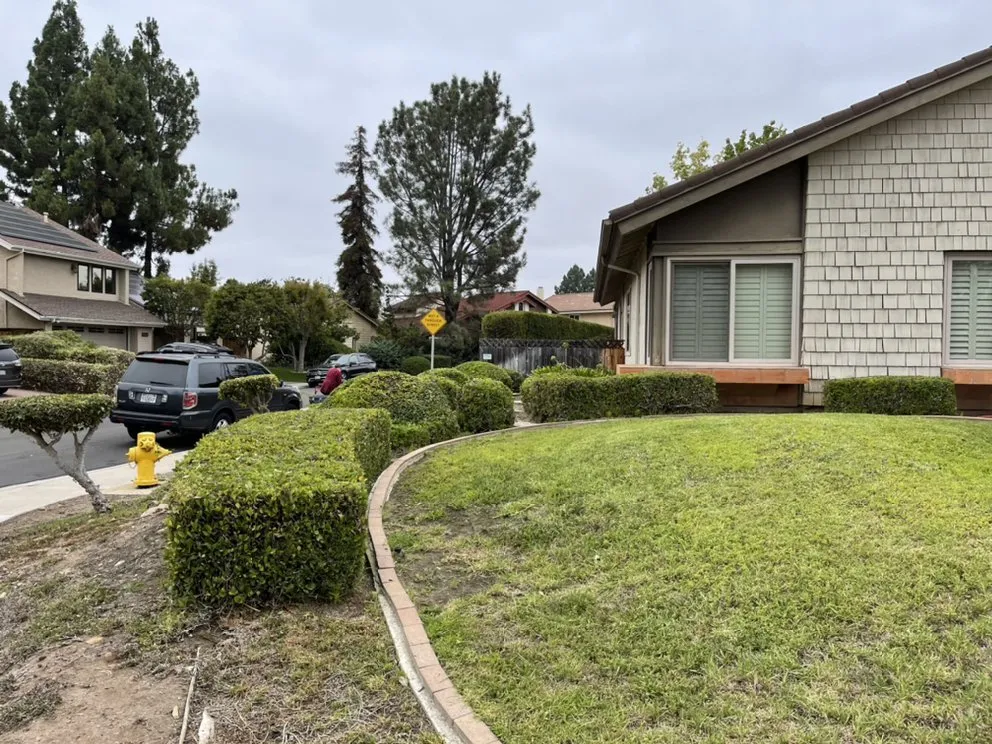 Expert landscape design in San Diego, CA by Martinez Gardening