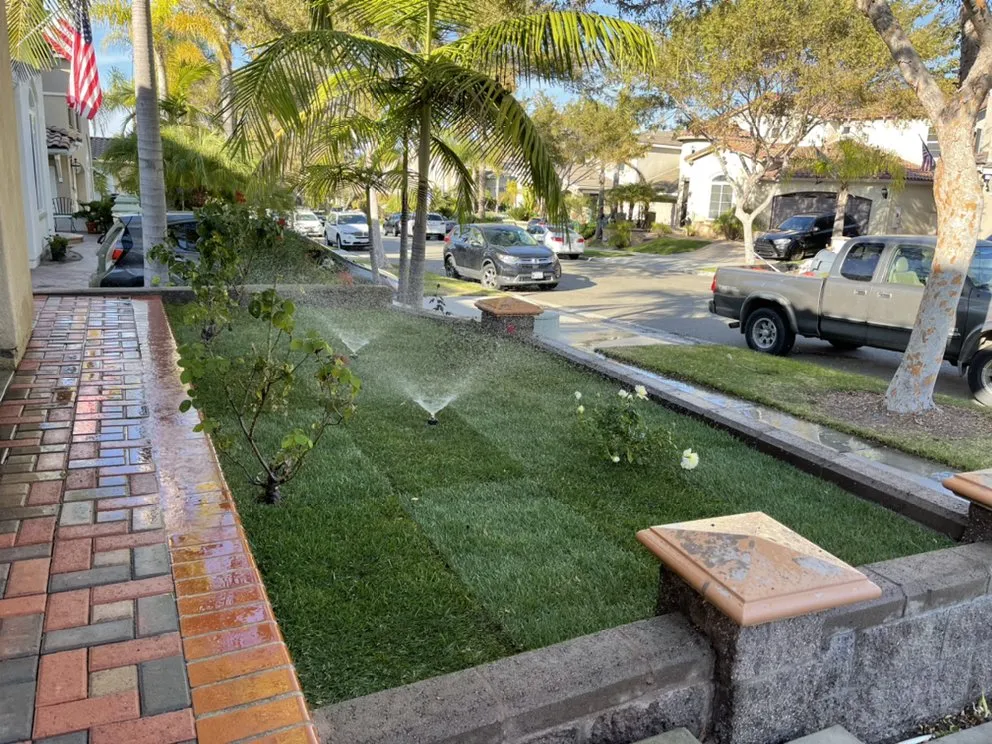Custom garden landscaping in San Diego, CA - Martinez Gardening