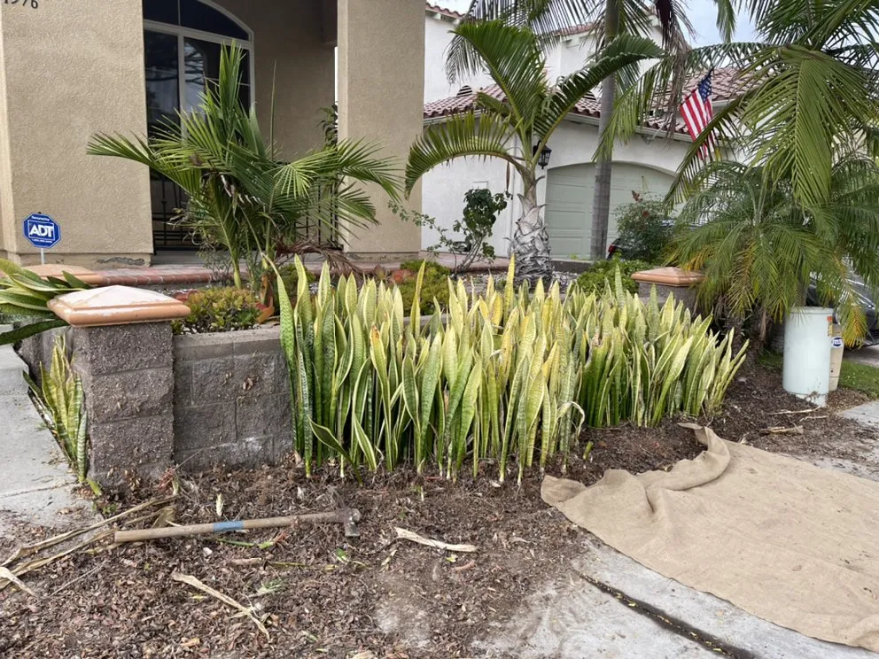 Professional garden landscaping for homes across San Diego, CA - Martinez Gardening