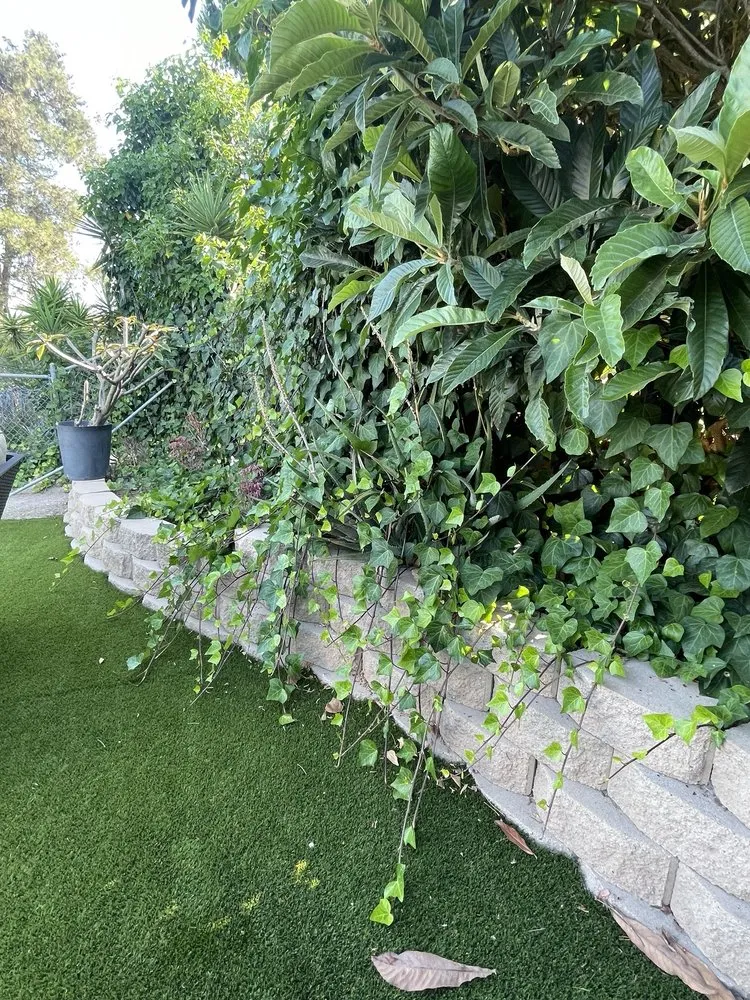 Local garden landscaping experts serving San Diego, CA - Martinez Gardening