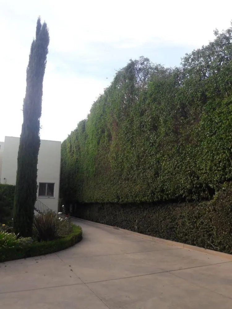 Top-rated residential landscaping experts serving Glendale, CA - Martinez Gardening Services