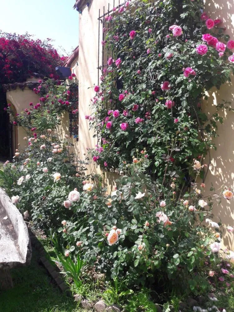 Expert landscape installation in Glendale, CA - Martinez Gardening Services