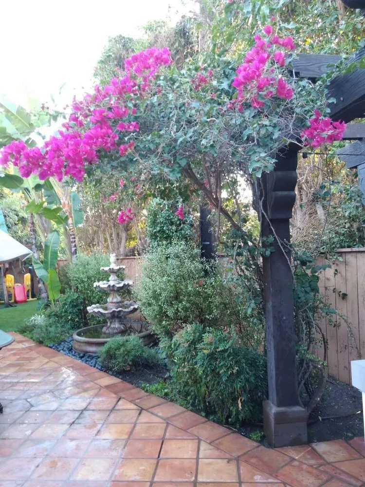 Local landscape design with custom design in Glendale, CA by Martinez Gardening Services