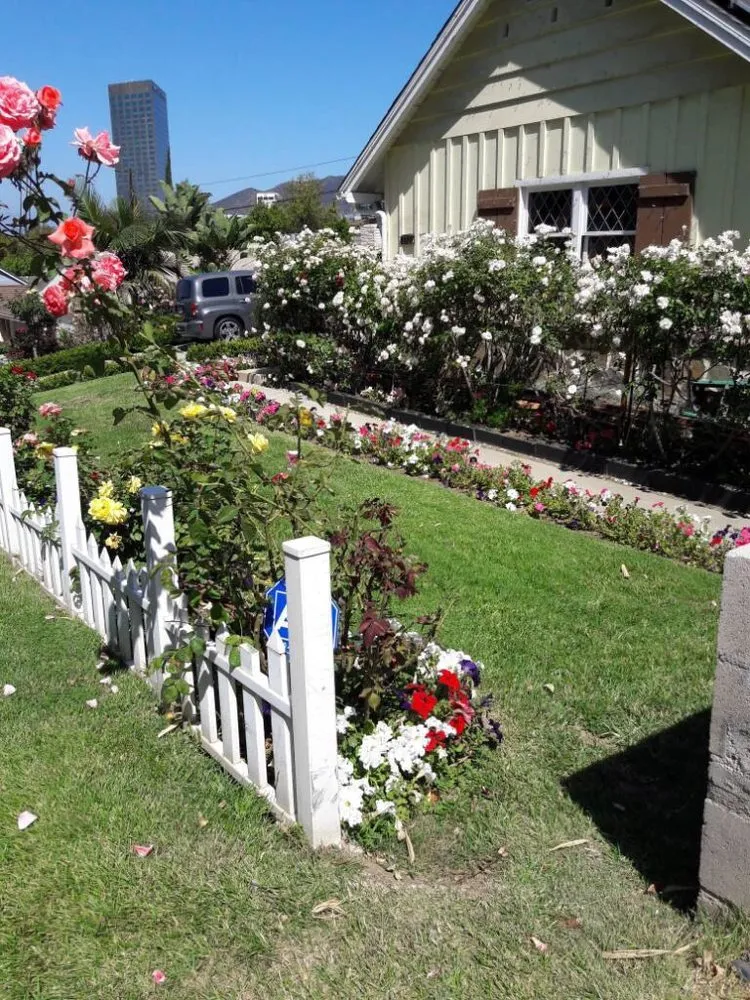 Reliable lawn mowing service near you in Glendale, CA by Martinez Gardening Services