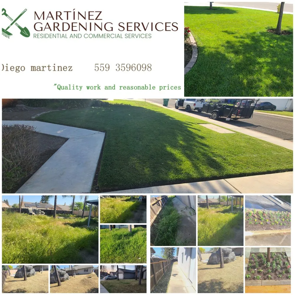 Custom yard cleanup service in Strathmore, CA - Martinez Gardening Services