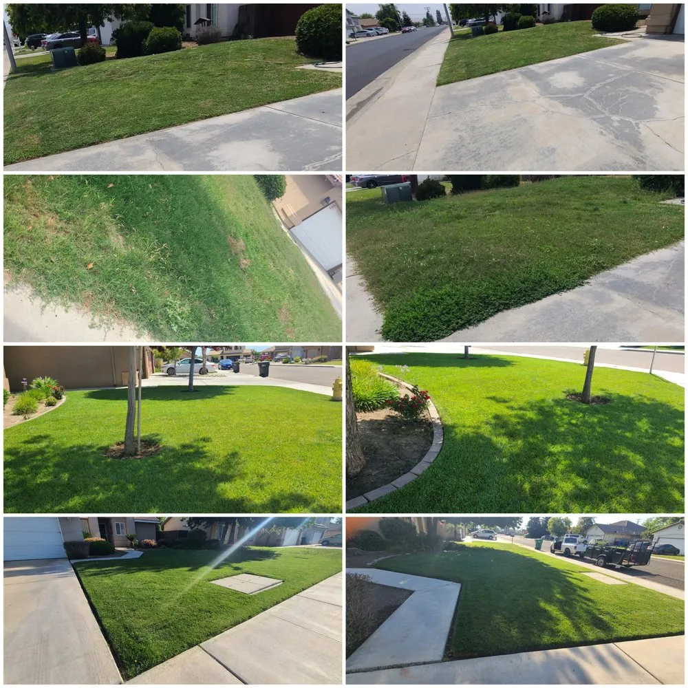 Affordable outdoor landscaping in Strathmore, CA by Martinez Gardening Services