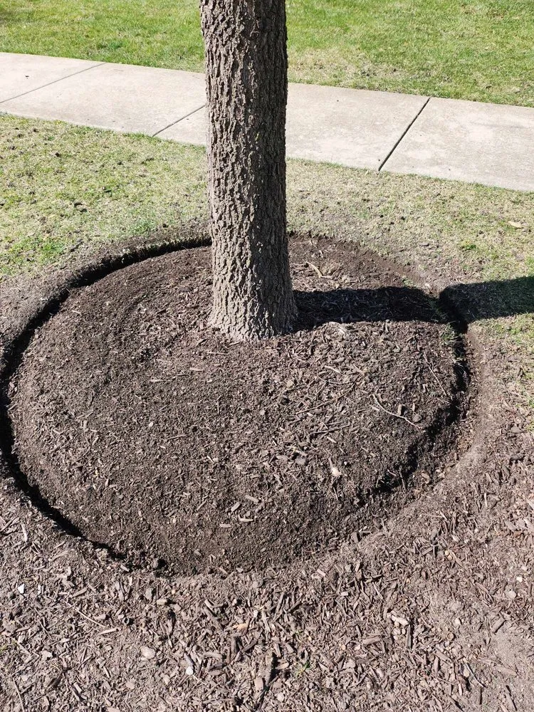 Trusted yard maintenance in Westmont, IL - Martinez Green Life Landscaping