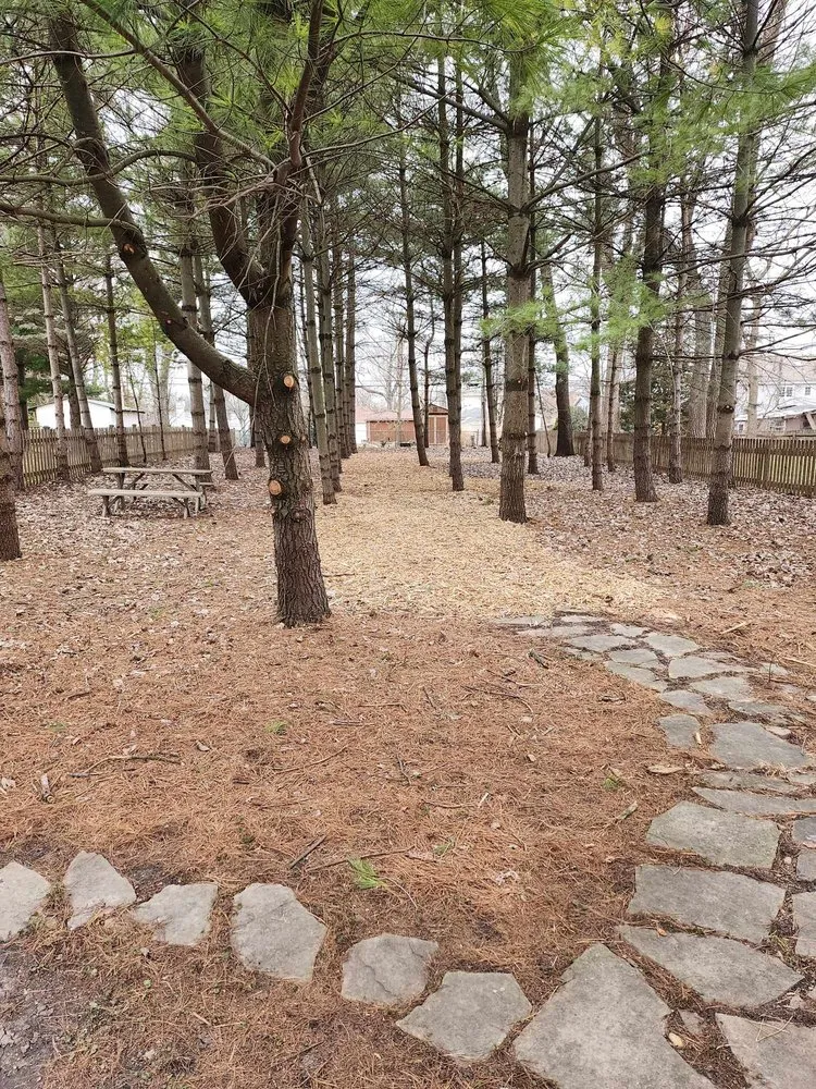 Affordable landscape design in Westmont, IL - Martinez Green Life Landscaping