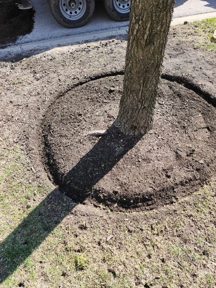 Expert garden landscaping in Westmont, IL by Martinez Green Life Landscaping