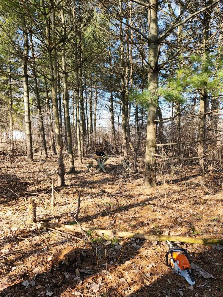 Custom yard cleanup service in Westmont, IL by Martinez Green Life Landscaping