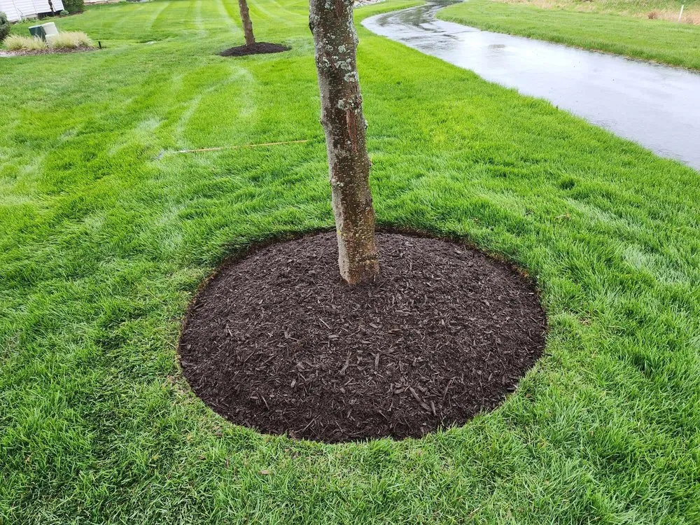 Expert lawn mowing service in Westmont, IL - Martinez Green Life Landscaping