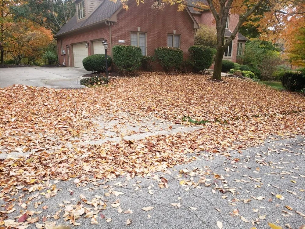 Custom lawn care service for outdoor upgrades in Frankfort, IN by Martinez Land Art Services