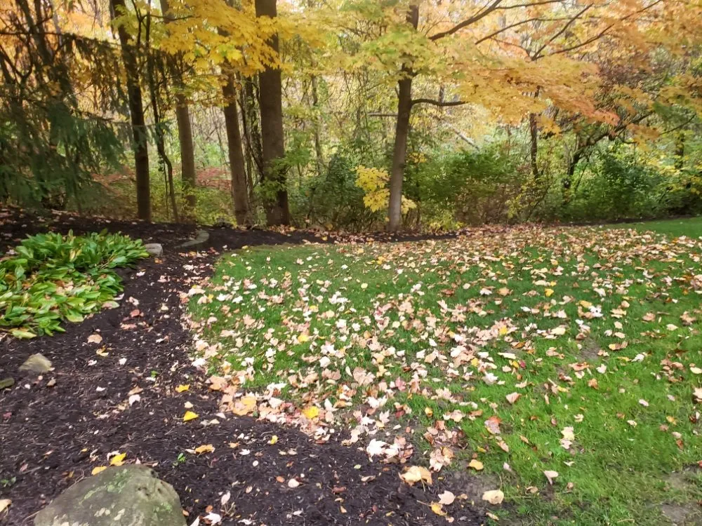 Reliable residential landscaping experts serving Frankfort, IN - Martinez Land Art Services