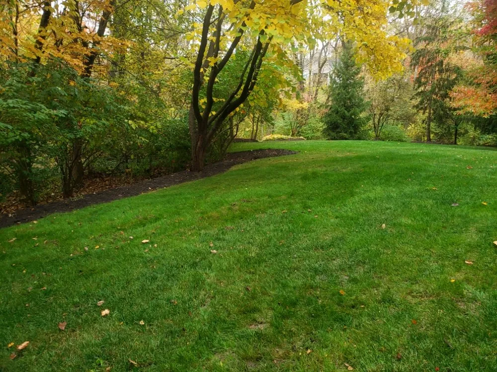 Custom yard cleanup service for residential properties in Frankfort, IN by Martinez Land Art Services