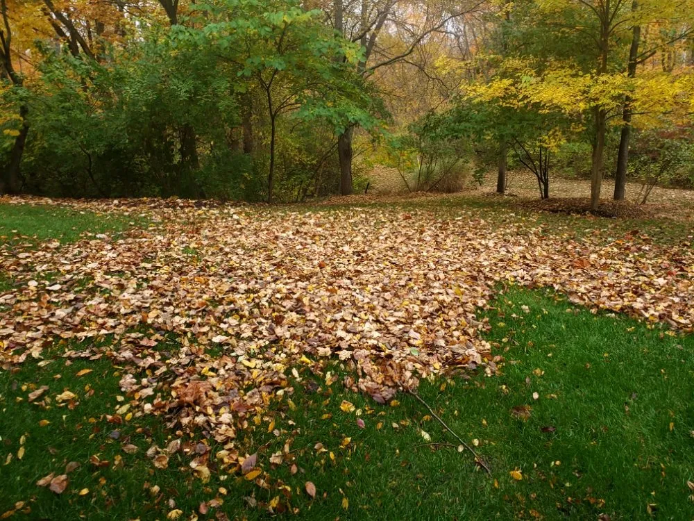 Custom landscape installation in Frankfort, IN by Martinez Land Art Services
