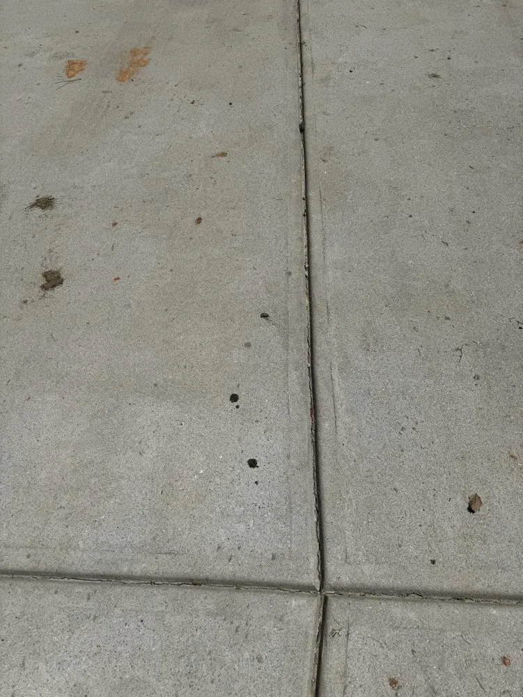 Professional yard maintenance for outdoor upgrades in Greenville, GA by Martinez Land Solutions