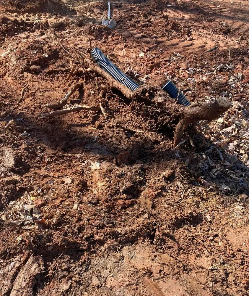Trusted yard cleanup service for year-round maintenance across Greenville, GA - Martinez Land Solutions