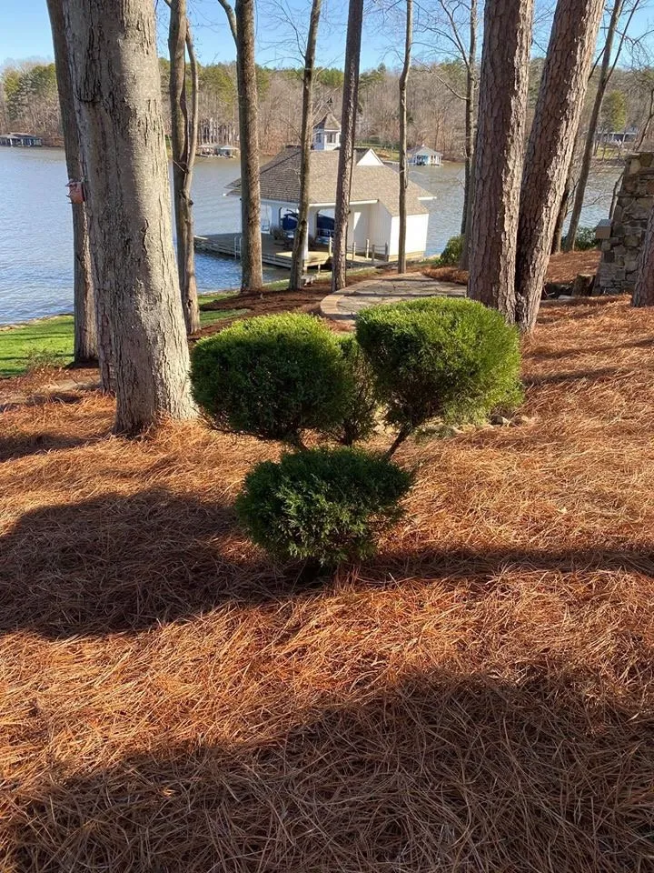 Local landscape installation in Vass, NC - Martinez Landcaping
