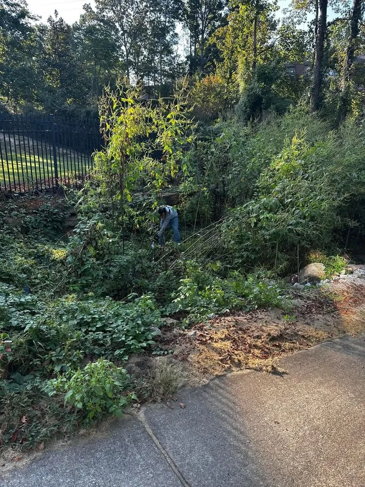 Local garden landscaping in Clanton, AL by Martinez Landcare & Maintenance