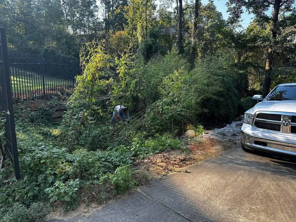 Top-rated residential landscaping near you across Clanton, AL - Martinez Landcare & Maintenance