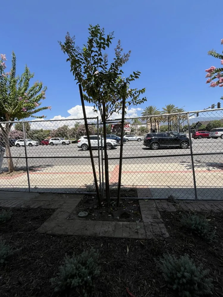 Custom residential landscaping experts serving Desert Hot Springs, CA - Martinez landscape & hauling services