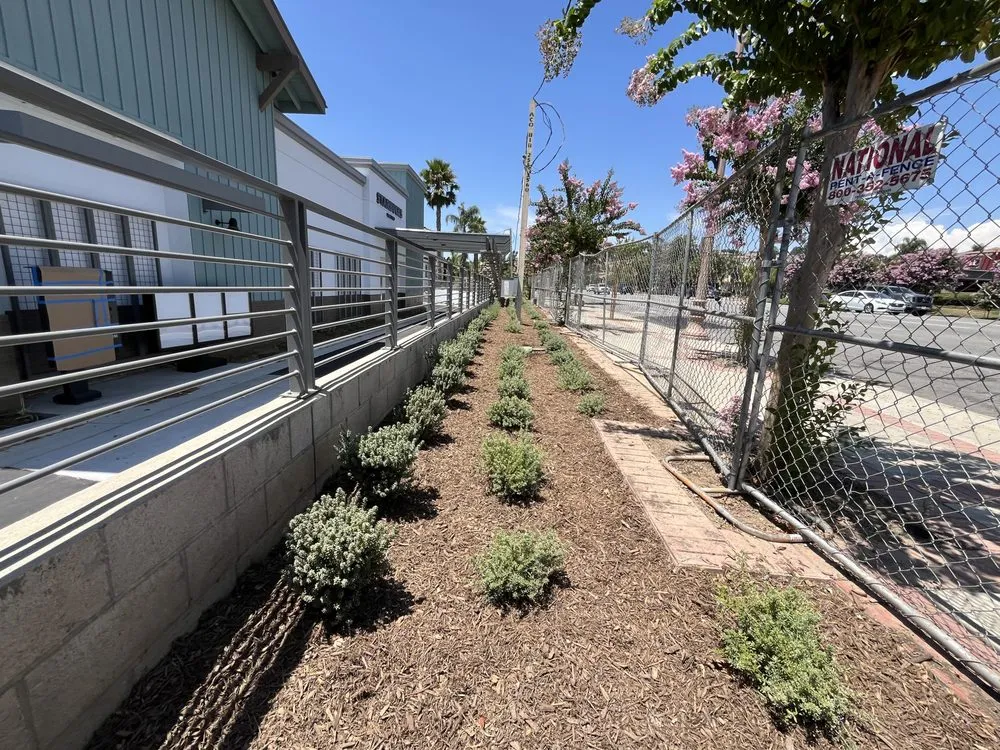 Trusted residential landscaping for year-round maintenance in Desert Hot Springs, CA by Martinez landscape & hauling services