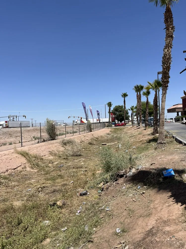 Affordable outdoor landscaping in Desert Hot Springs, CA - Martinez landscape & hauling services