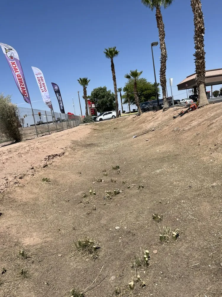 Local yard cleanup service in Desert Hot Springs, CA - Martinez landscape & hauling services