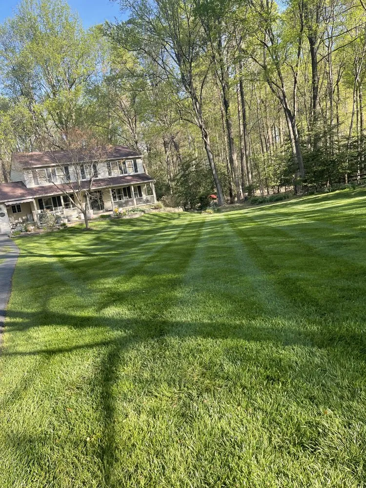 Expert lawn mowing service experts serving Bailey's Crossroads, VA - Martinez Landscape