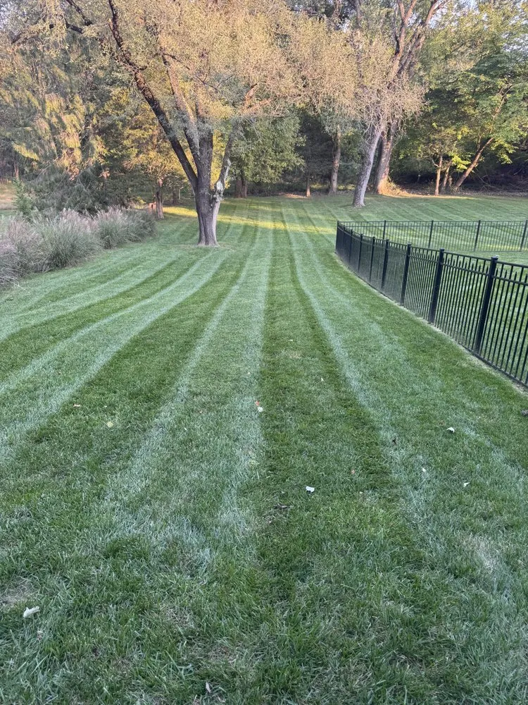 Top-rated landscape design for homes across Bailey's Crossroads, VA - Martinez Landscape