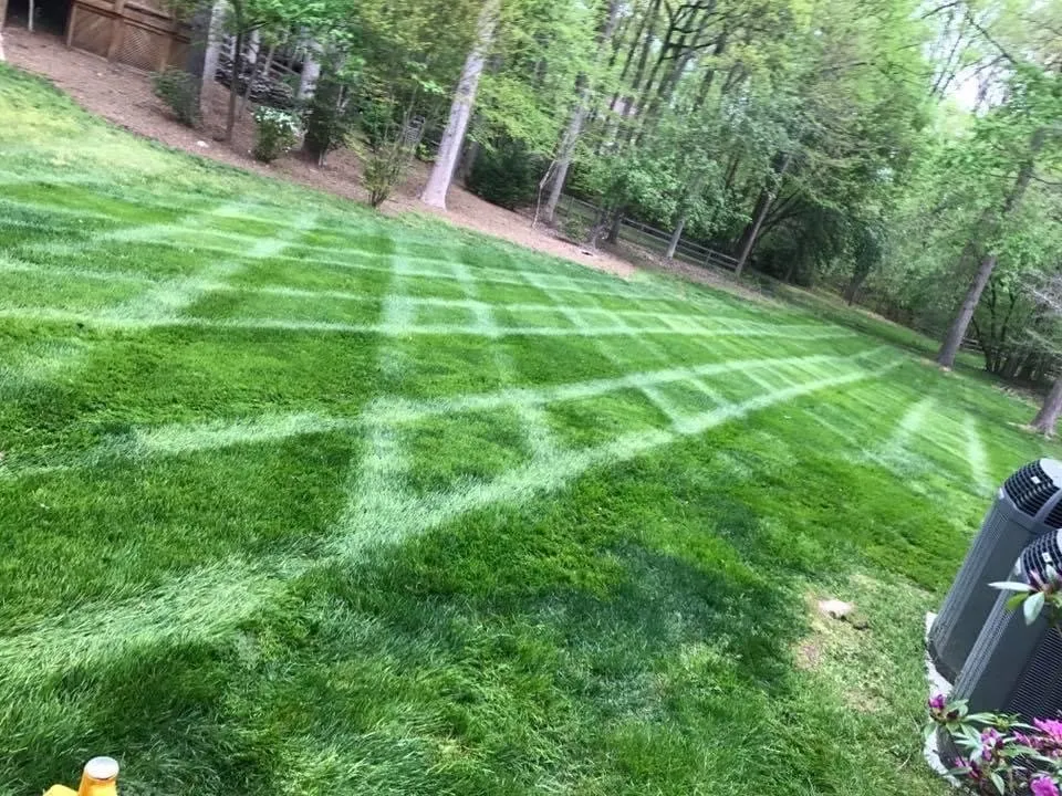 Trusted yard maintenance in Bailey's Crossroads, VA - Martinez Landscape