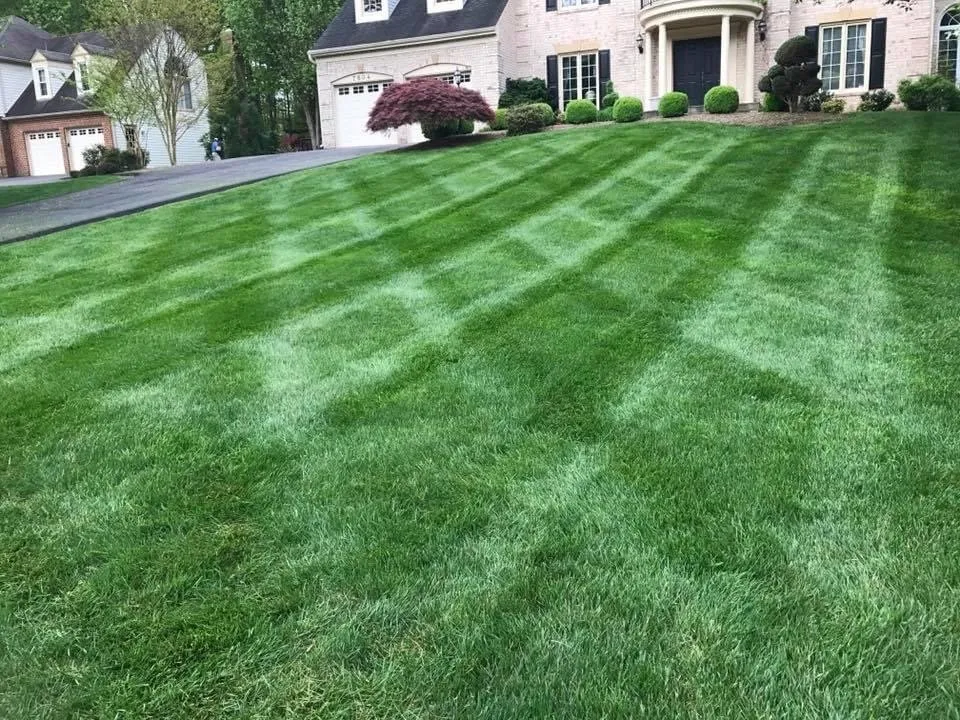 Reliable lawn care service near you in Bailey's Crossroads, VA by Martinez Landscape