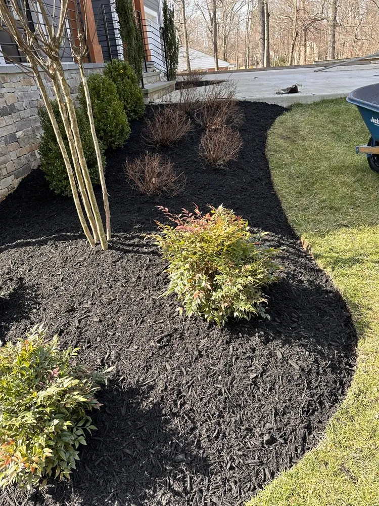 Professional landscape design in Bailey's Crossroads, VA by Martinez Landscape