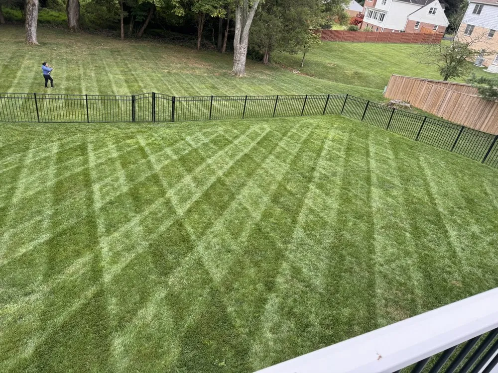 Custom lawn care service for homes in Bailey's Crossroads, VA by Martinez Landscape