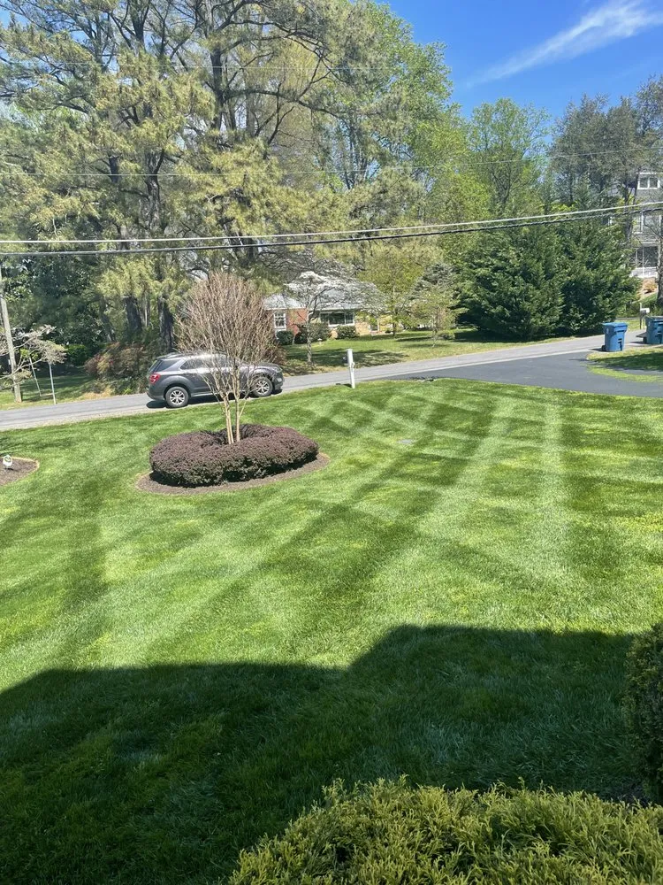 Reliable landscaping services in Bailey's Crossroads, VA - Martinez Landscape