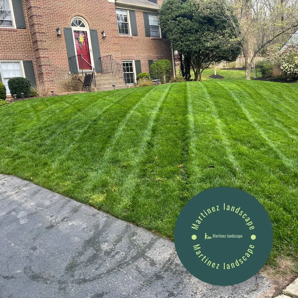 Expert residential landscaping for year-round maintenance in Bailey's Crossroads, VA by Martinez Landscape
