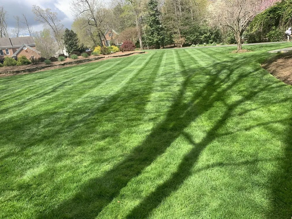 Trusted landscape installation experts serving Bailey's Crossroads, VA - Martinez Landscape