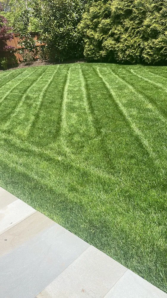 Trusted yard cleanup service in Bailey's Crossroads, VA by Martinez Landscape
