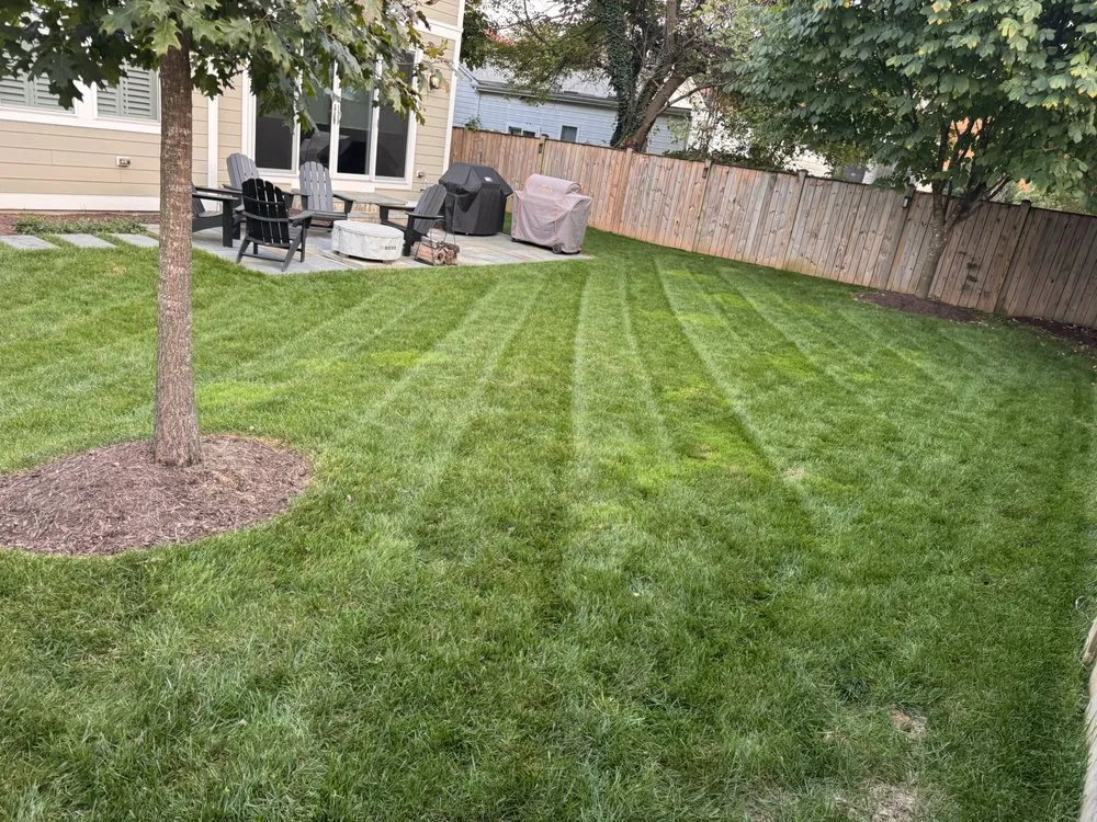 Affordable yard cleanup service for homes in Bailey's Crossroads, VA by Martinez Landscape