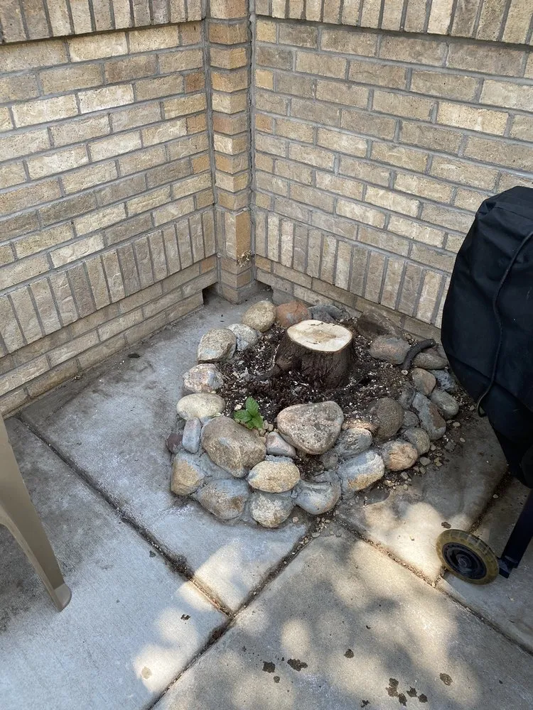 Affordable outdoor landscaping in Boulder, CO by Martinez Landscape